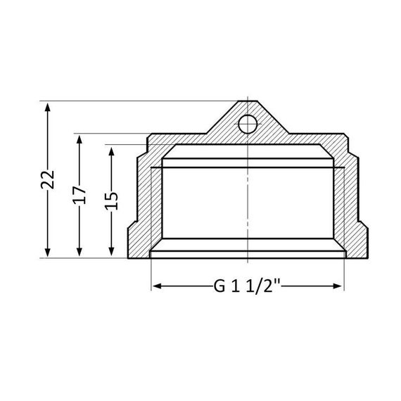 Заглушка Thermo Alliance Standart 1 1/2" ВР SD40240 | Зображення 1