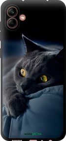 Чохол на Samsung Galaxy A04 A045F Димчастий кіт "825b-2831-2448"