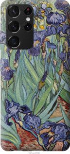 Чехол на Samsung Galaxy S21 Ultra (5G) Винсент Ван Гог. Ирисы из пластика FCh_065133
