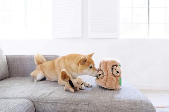 Інтерактивна іграшка для собак OutwardHound Hide-A-Squirrel, 18 см