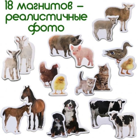 Набор магнитов Magdum "Ферма Мамы и малыши" ML4031-08 EN | Зображення 4
