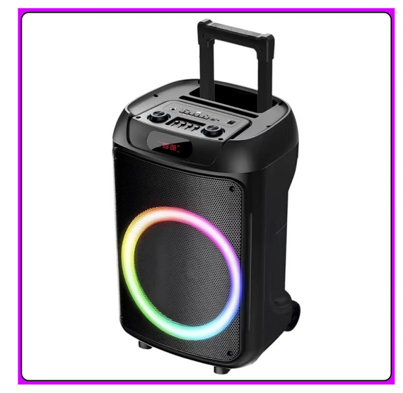 Колонка Bluetooth Wireless Speaker TTD-1209 з мікрофонами і пультом ДУ ∙ Портативна TTD-1209 Bluetooth колонка 12" | Зображення 4