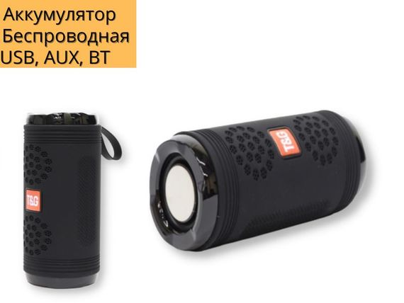 Портативна колонка T&amp;G TG617 15Вт USB, AUX, FM, Bluetooth чорна (ЦУ-00034844) | Зображення 1