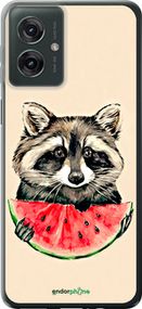 Чохол на Motorola Moto G55 Єнотик з кавуном "4605u-3843-2448"