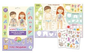 Навчальний постер з наклейками Тіло людини  Dodo 300901 Різнокольоровий shop (4823115913456)