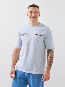 Футболка з принтом чоловіча GENUA G01222-0010 5XL Світло-сірий shop (2000999390913)