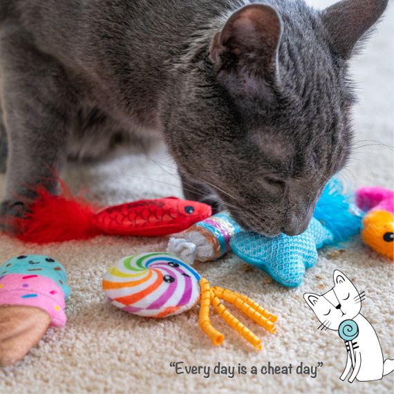 Набор игрушек для котов Outward Hound Kitty Sweet Treats Cat Toys, 6 шт | Зображення 1