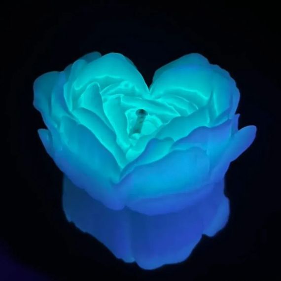 Низькотемпературна БДСМ-свічка у формі троянди GlowKink, люмінесцентна, L, 62 г, блакитна Sex Aura | Зображення 2