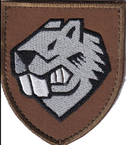 Шеврон 808 понтонно-мостовой полк