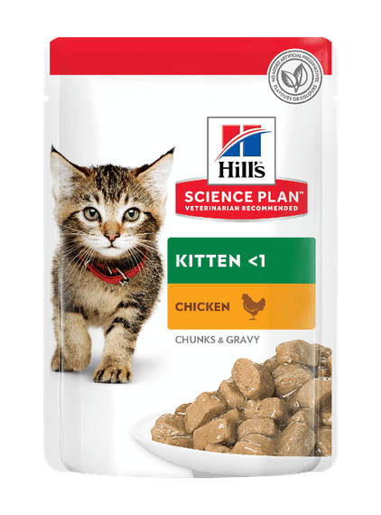 Hill's SP Kitten Вологий корм для кошенят і кішок у період вагітності та лактації, з куркою, пауч, 85г х 12 шт
