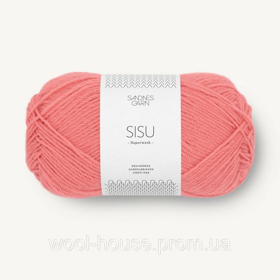 Шкарпеткова пряжа Sandnes Garn Sisu 50 г, 4025