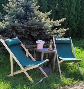 Шезлонг лежак крісло для басейну, саду зелений з подушкою