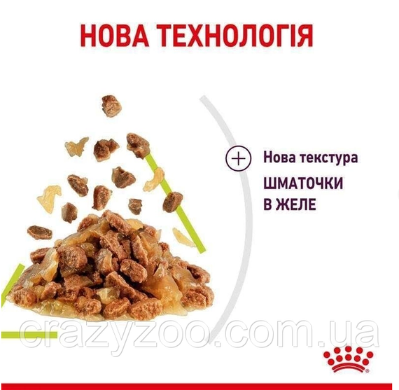 Влажный корм для котов Royal Canin Sensory Smell Jelly 85 г | Зображення 2