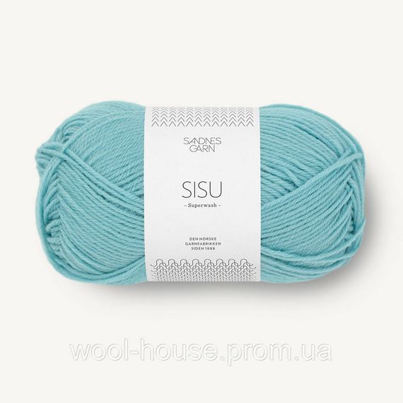 Шкарпеткова пряжа Sandnes Garn Sisu 50 г, 6823
