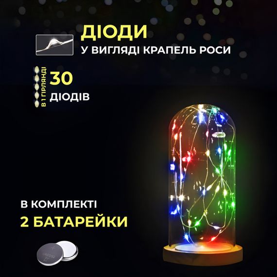 Світлодіодна гірлянда Роса 3 метри на батарейках 30 led нитка на зеленому дроті мультиколор | Зображення 2