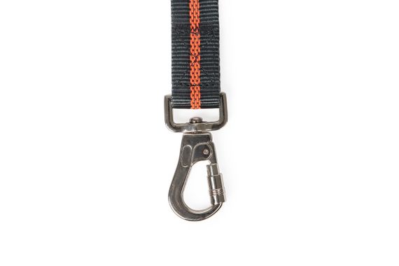 Dexas Off-Leash Explorer повідець-перестібка для собак, 1.6 м | Зображення 1