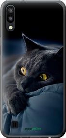 Чохол на Samsung Galaxy M10 Димчастий кіт "825u-1661-2448"