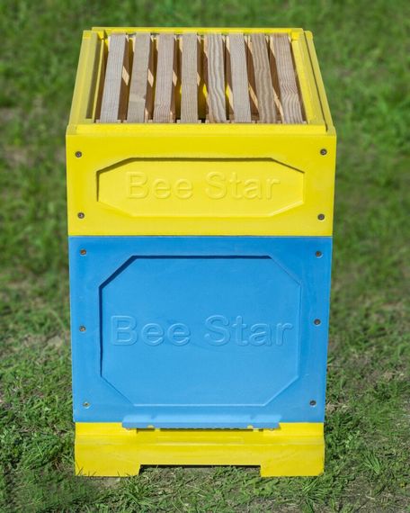 Вулик ППУ “BeeStar” (1 корпус Дадан 300 мм + 2 магазини на 8 рамок) – кольоровий | Зображення 4