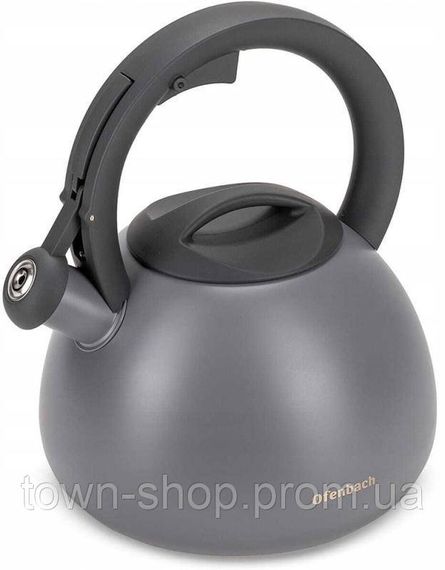 Чайник Ofenbach Silver 2.7л нержавеющая сталь, со свистком, серый матовый NB-100321