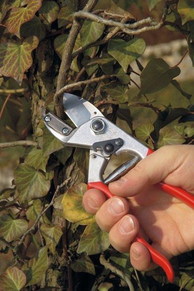Секатор з ковадлом FELCO 31 | Зображення 1