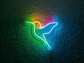 Неоновий світильник Колібрі 270х240 acr-n000059