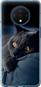 Чохол на OnePlus 7T Димчастий кіт "825u-1809-2448"