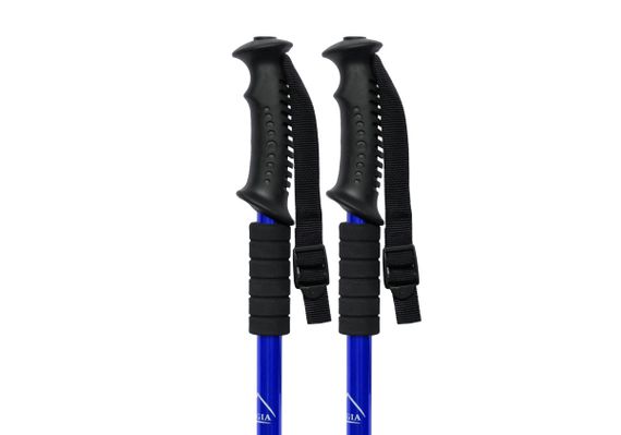 Палка для скандинавської ходьби EasyFit Energia синя 1 шт (EF-3924-BL) | Зображення 3