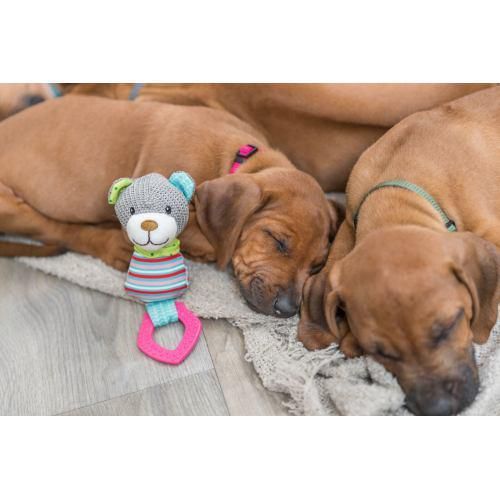 Іграшка Trixie Junior Медведь для собак, з кільцем зі звуком, 23 см (текстиль/плюш) | Зображення 2