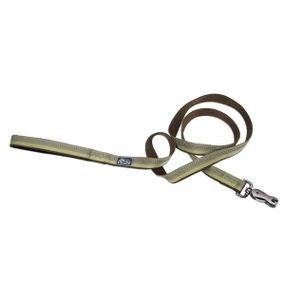 Повідець світловідбивний для собак Coastal K9 Explorer Leash, 1.8 м х 2.5 см, зелений