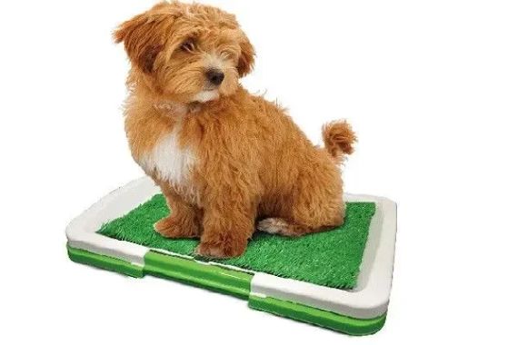 Туалет для собак Puppy Potty Pad MH-872 | Зображення 7