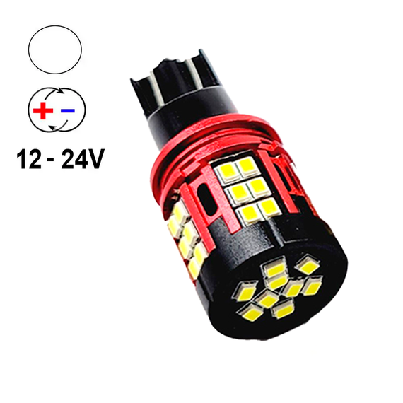 Автолампа Terra T15, цоколь W16W, 2016-39SMD, 12-24В, биполярная, белая | Зображення 1