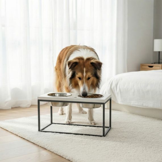 Миски на подставке для средних и больших собак Hollky Base L (2 × 0,95 л) BL-422120-GRWH | Зображення 1