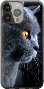 Чехол на iPhone 13 Pro Max Красивый кот "3038u-2371-17620"