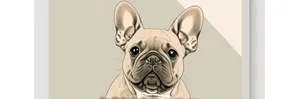 🐾Bulldogshop🐶