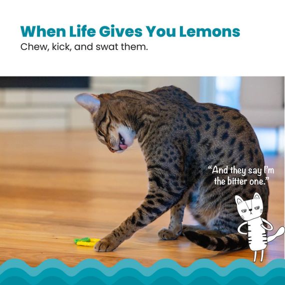Іграшка для котів Catstages Lemon Teether | Зображення 1