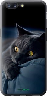 Чохол на OnePlus 5 Димчастий кіт "825u-969-2448"