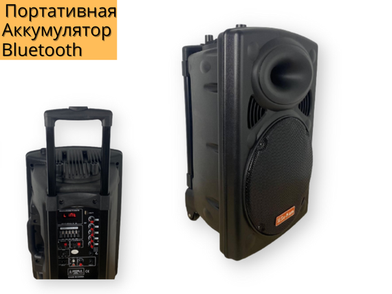 Акумуляторна акустична система XPRO  BT-120D  колонка валіза 150Вт USB, SD, FM радіо, Bluetooth, 2 радіомікрофона, ДУ чорна (4382) | Зображення 4