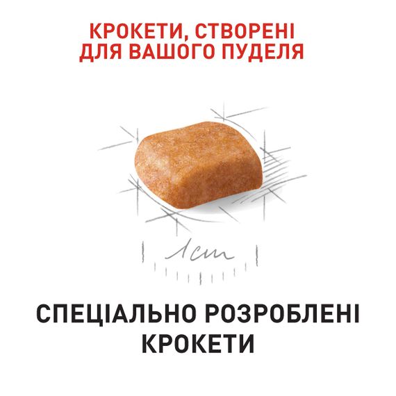 Сухий корм для цуценят породи пудель Royal Canin Poodle Puppy, 500 гр | Зображення 3