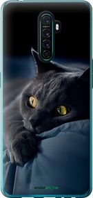 Чохол на Oppo Reno Ace Димчастий кіт "825u-1964-2448"