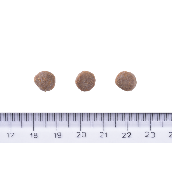 Корм сухий Brit Care Dog Grain-free Puppy для цуценят беззерновий з лососем 12 кг | Зображення 3