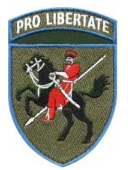 Шеврон 110 ОМБР Pro Libertate