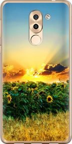 Чехол на Huawei Mate 9 Lite Украина "1601u-474-17620"