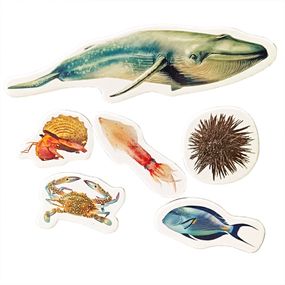 Дитячий набір магнітів "Мешканці морів та океанів" ML4032-27 в наборі 6 магнітів