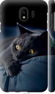 Чохол на Samsung Galaxy J4 2018 Димчастий кіт "825m-1487-2448"