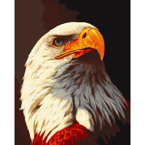 Картина по номерам "Орел" 11678-AC 40х50