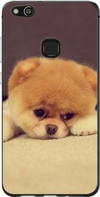 Чехол на Huawei P10 Lite Boo 2 "890u-896-17620"