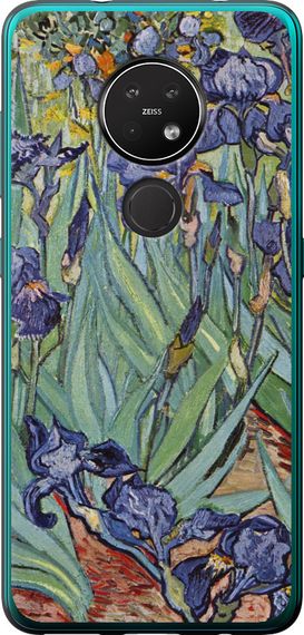 Чехол на Nokia 6.2 Винсент Ван Гог. Ирисы "161u-2018-17620"