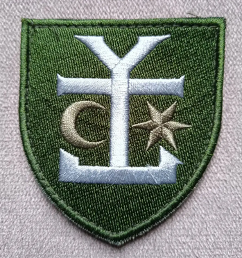 Шеврон 54 ОМБР (зеленый)