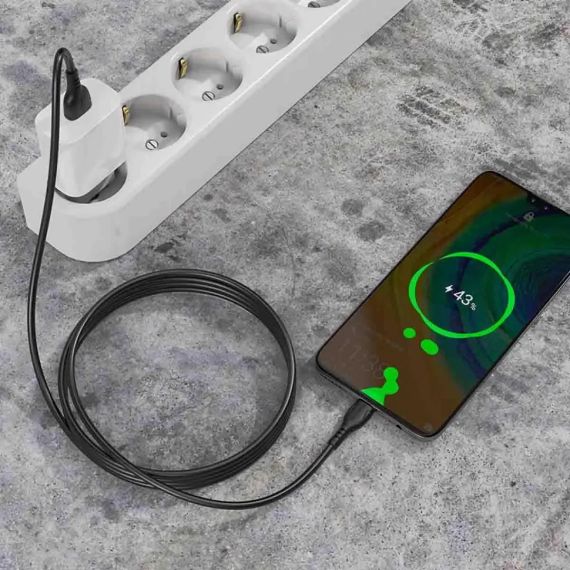 Кабель Borofone BX51 USB-Type C  3A/1 метр | Зображення 2