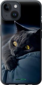 Чохол на iPhone 14 Димчастий кіт "825u-2648-2448"